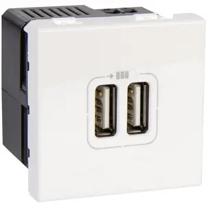 Chargeur 2 usb 45x45 legrand universel planet wattohm 077594 pas cher