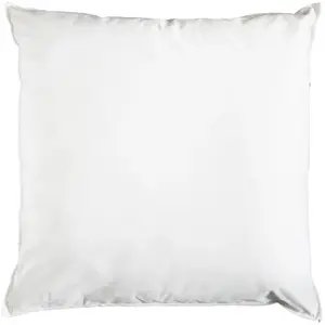 Oreiller moelleux sensation duvet, EDONA 65 x 65 cm  pas cher