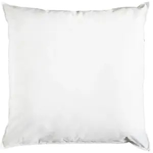 Oreiller moelleux sensation duvet, EDONA 60 x 60 cm  pas cher