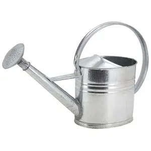 Aubry Gaspard Arrosoir en zinc - Marque inconnue - 10 litres - GrisVendu paramazon