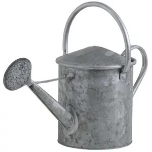 Arrosoir en Zinc Lourd - Aubry Gaspard - 5L - Décoratif pour Jardin et Intérieur pas cher