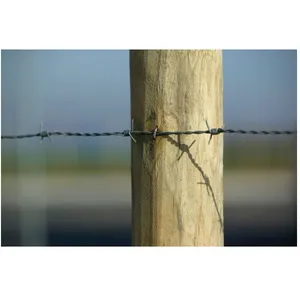 Barbelé Ronce 2,4mm - 100m pas cher