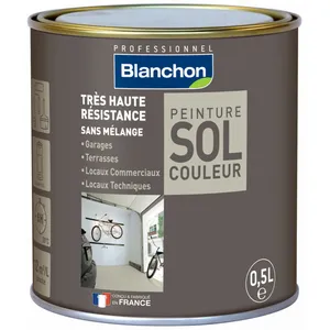 Comparateur de prix : Blanchon Peinture sol couleur 0,5L - Gris foncé BLANCHON