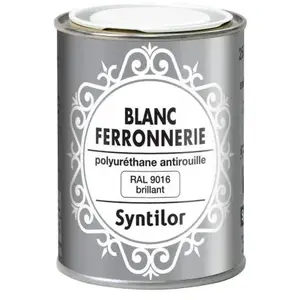 Syntilor Blanc Ferronnerie SYNTILOR Brillant 250ml pas cher