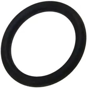Joint Diametre 10 M/m Pour Lave Vaisselle Brandt - 32x2499 pas cher