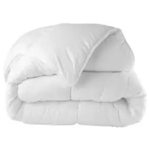Selenia Couette Blanche Winter Ultra Chaude 550gr/m² 200x200-13002 pas cher