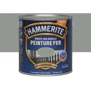 Peinture Hammerite Direct sur Rouille - Gris Nuage - Brillant - 2,5LVendu parcastorama