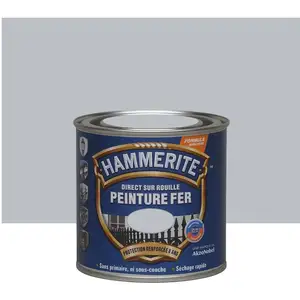 Hammerite - Peinture finition Lisse Brillante 250ml Argent - 70733