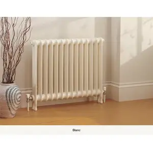 Julien Peinture Radiateur Blanc Mat Finition : Mat 2,5 l