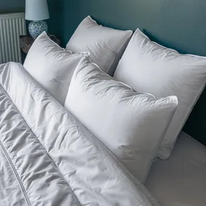 Colas Normand - 2 Oreillers Moelleux  Microfibre blancs - 45x70 cm 45x70 cm pas cher