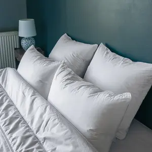 Colas Normand - Oreiller Moelleux Anti Acariens Greenfirst  blanc 45x70 cm