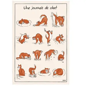 WINKLER Maison Vivaraise Torchon Imprime Journée de Chat Ecru 48 X 72Vendu paramazon