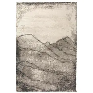Comparateur de prix : Tapis Pio naturel Vivaraise
