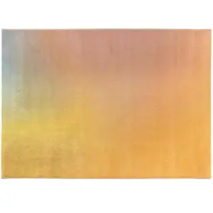 Vivaraise Tapis en polypropylène et polyester Caro 200 x 290 cmVendu paramazon