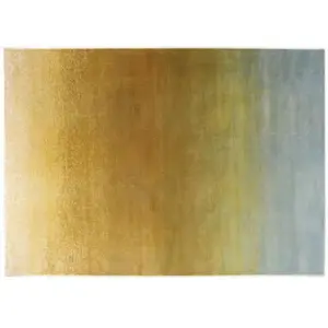 Vivaraise Tapis en polyester Lilo 200 x 290 cm pas cher