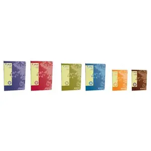 Cahier Forever Calligraphe 17x22cm 96 pages Séyès couleurs assorties pas cher