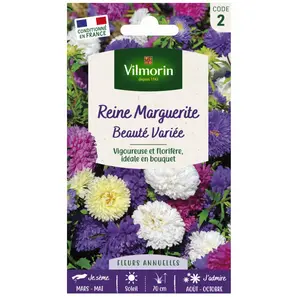Vilmorin 5703442 Reine Marguerite, Multicolore, 90 x 2 x 160 cm pas cher