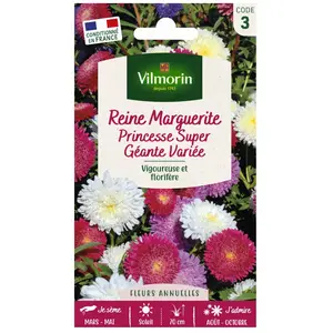 VILMORIN Reine marguerite Princesse super géante pas cher