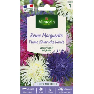 VILMORIN Reine marguerite Plume d'Autruche variée pas cher