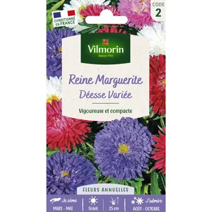 Vilmorin - Reine-Marguerite Naine Déesse Variée pas cher