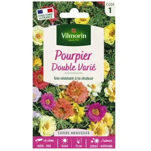 VILMORIN Pourpier a grande fleur double varié