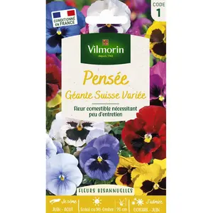 VILMORIN Pensée géante Suisse variée pas cher