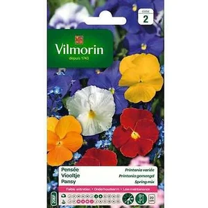 Pensée Printania variée Vilmorin pas cher