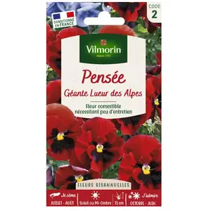 VILMORIN Pensée géante Lueur des Alpes rouge pas cher
