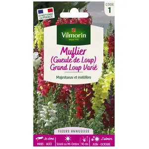 VILMORIN Muflier Grand Loup varié pas cher