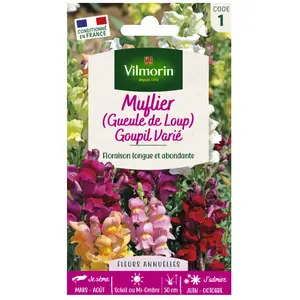 VILMORIN Muflier Goupil varié pas cher