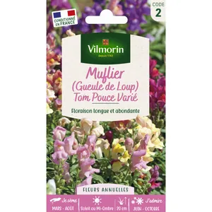 VILMORIN Muflier Tom Pouce varié pas cher