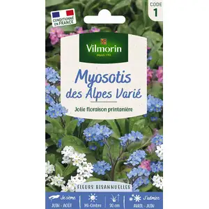 VILMORIN Myosotis des Alpes varié pas cher