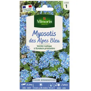 VILMORIN Myosotis des Alpes bleu pas cher