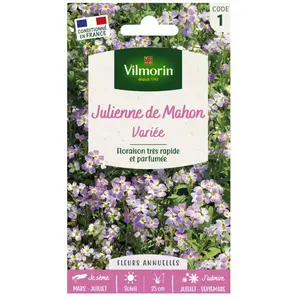 VILMORIN Julienne de Mahon variée pas cher