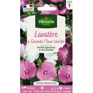 VILMORIN Lavatère à grande fleur variée pas cher