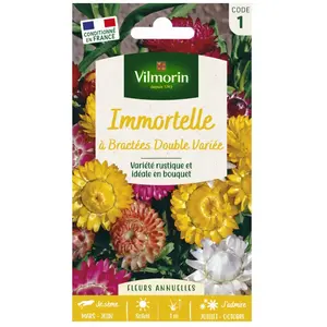 VILMORIN Immortelle a bractées double variée pas cher