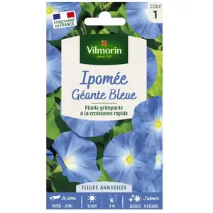 VILMORIN Ipomée à grande fleur bleue pas cher