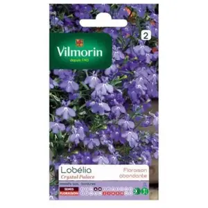VILMORIN Lobelia Crystal Palace bleu pas cher