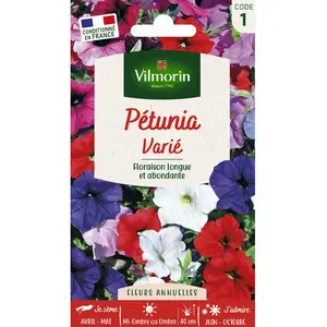 VILMORIN Petunia varié pas cher