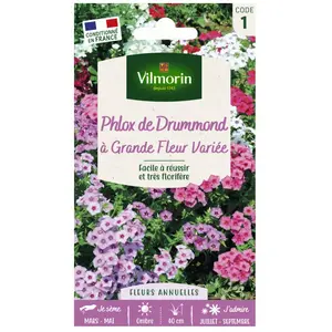 VILMORIN Phlox de Drummond a grande fleur varié