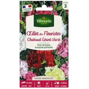 VILMORIN Oeillet géant Chabaud varié pas cher