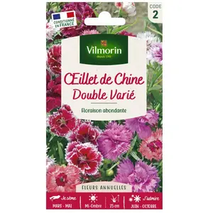 VILMORIN Oeillet de Chine double Vilmorin varié pas cher