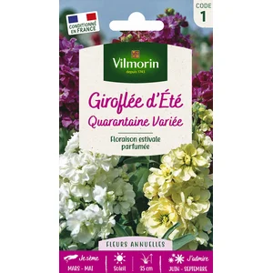 VILMORIN Giroflée Quarantaine a grandes fleurs variées pas cher