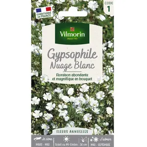 Vilmorin - Sachet graines Gypsophile nuage blanc pas cher