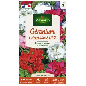 VILMORIN Géranium Cricket varié pas cher