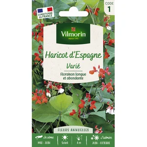 VILMORIN Haricot d’Espagne varié pas cher