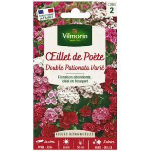 VILMORIN Oeillet de Poete double Pationata varié pas cher