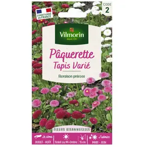 Comparateur de prix : VILMORIN Pâquerette Tapis varié