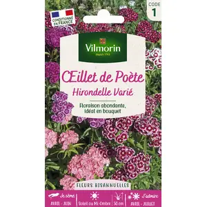 VILMORIN Oeillet de Poete Hirondelle varié pas cher
