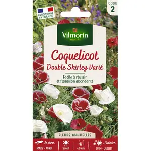 Vilmorin 5458442 Pavot Multicolore 9 x 0,5 x 16 cm pas cher